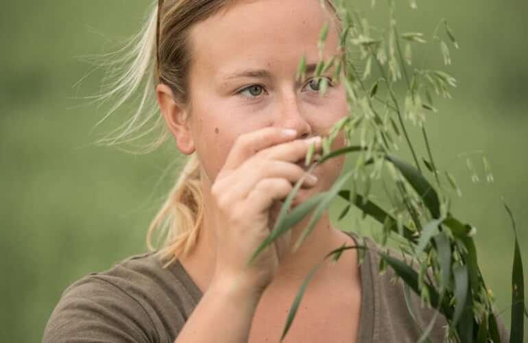 Une jeune fille inspecte un plant d'avoine et en évalue la qualité.